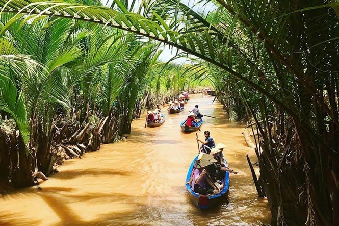 vuon_dua_ben_tre_3